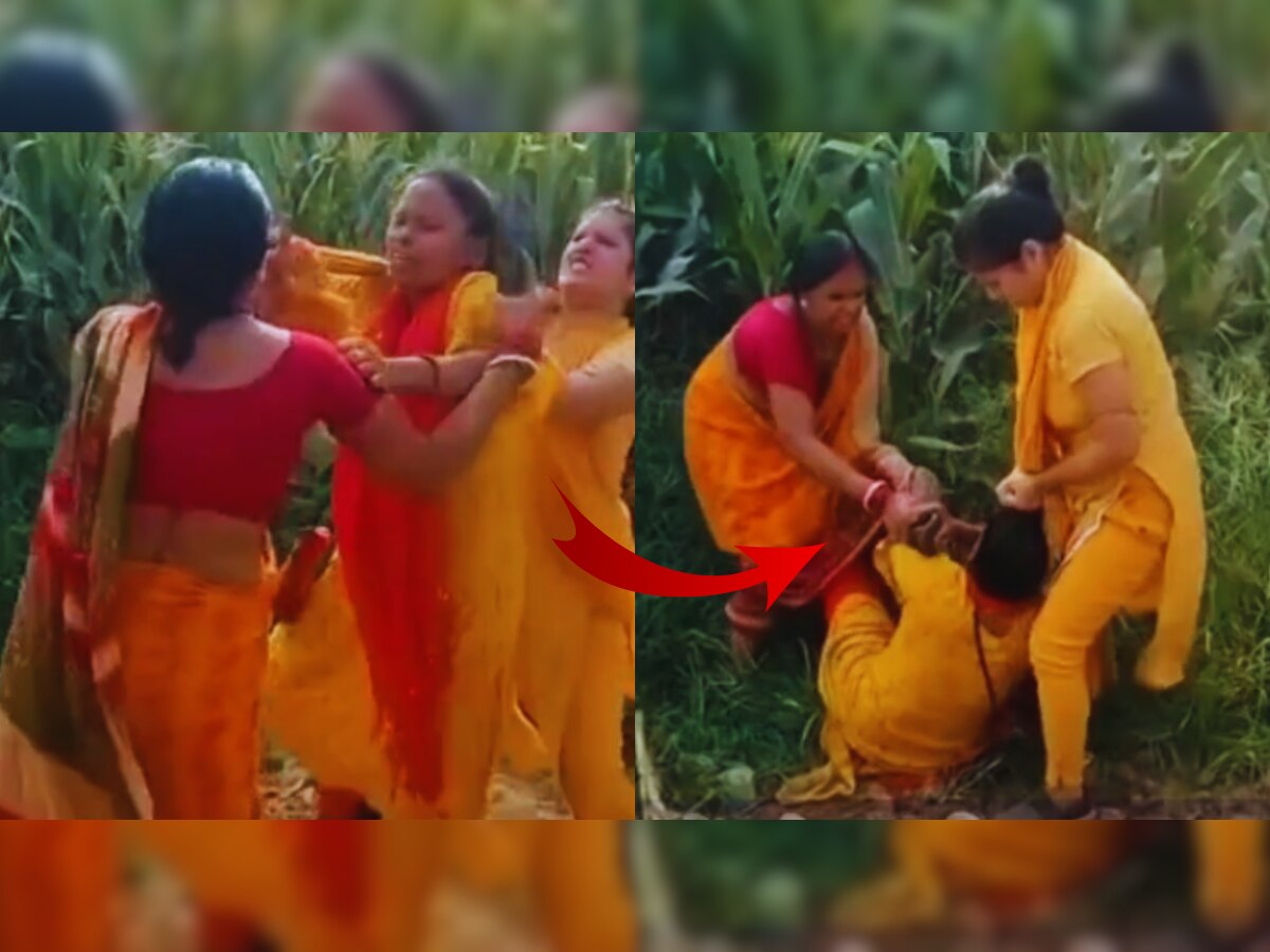 Viral Video: झिंज्या उपटल्या, लाथा बुक्यांनी तुडवलं; शिक्षिकांनी एकमेकींना लोळून लोळून मारलं... पाहा Video title=