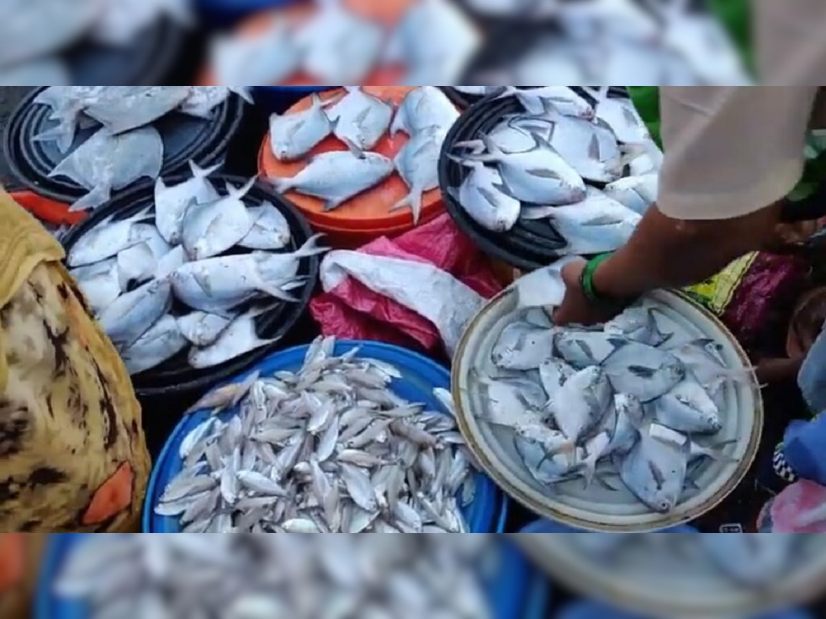 Fish Thali वर ताव मारणाऱ्यांनो, आजपासून मासेमारी बंद; आता कुठे मिळतील ताजे, स्वस्त मासे? title=