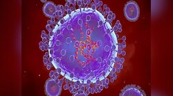 HMPV : सावध राहा, काळजी घ्या! 'या' देशात झपाट्याने पसरतोय Human Metapneumovirus, भारतालाही धोका? 