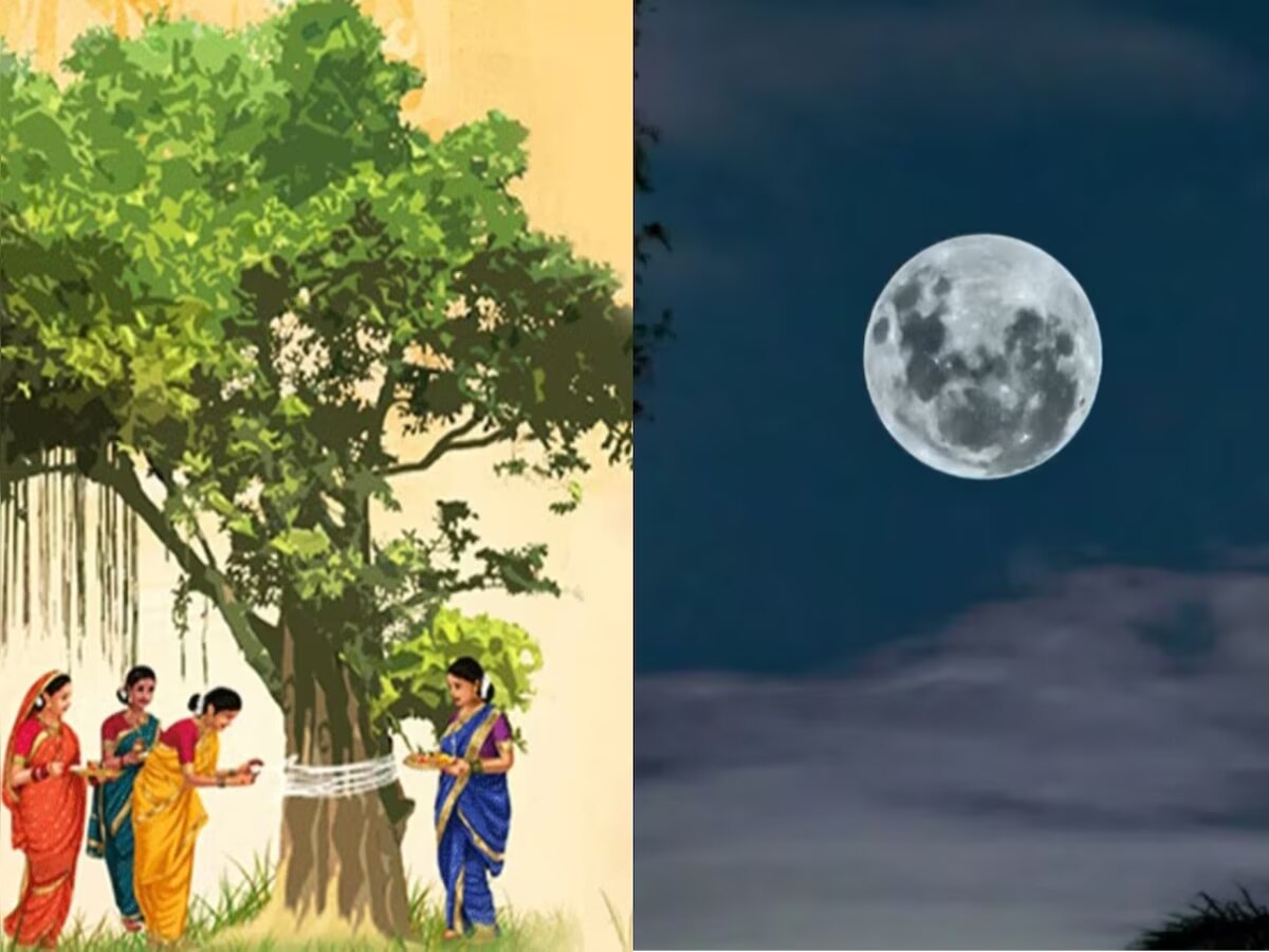 Vat Purnima 2023:  आज वडासोबतच करा 'या' दोन वृक्षांची पूजा; अखंड सौभ्याग्यासह मिळवा धनप्राप्तीचा आशीर्वाद  title=