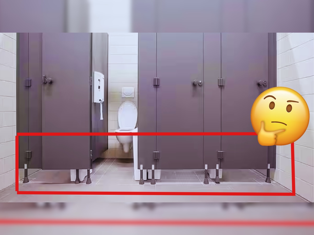 Toilet Interesting Facts: मॉलच्या टॉयलेटचे दरवाजे उंच का असतात? कारण समजताच भुवया उंचावतील title=