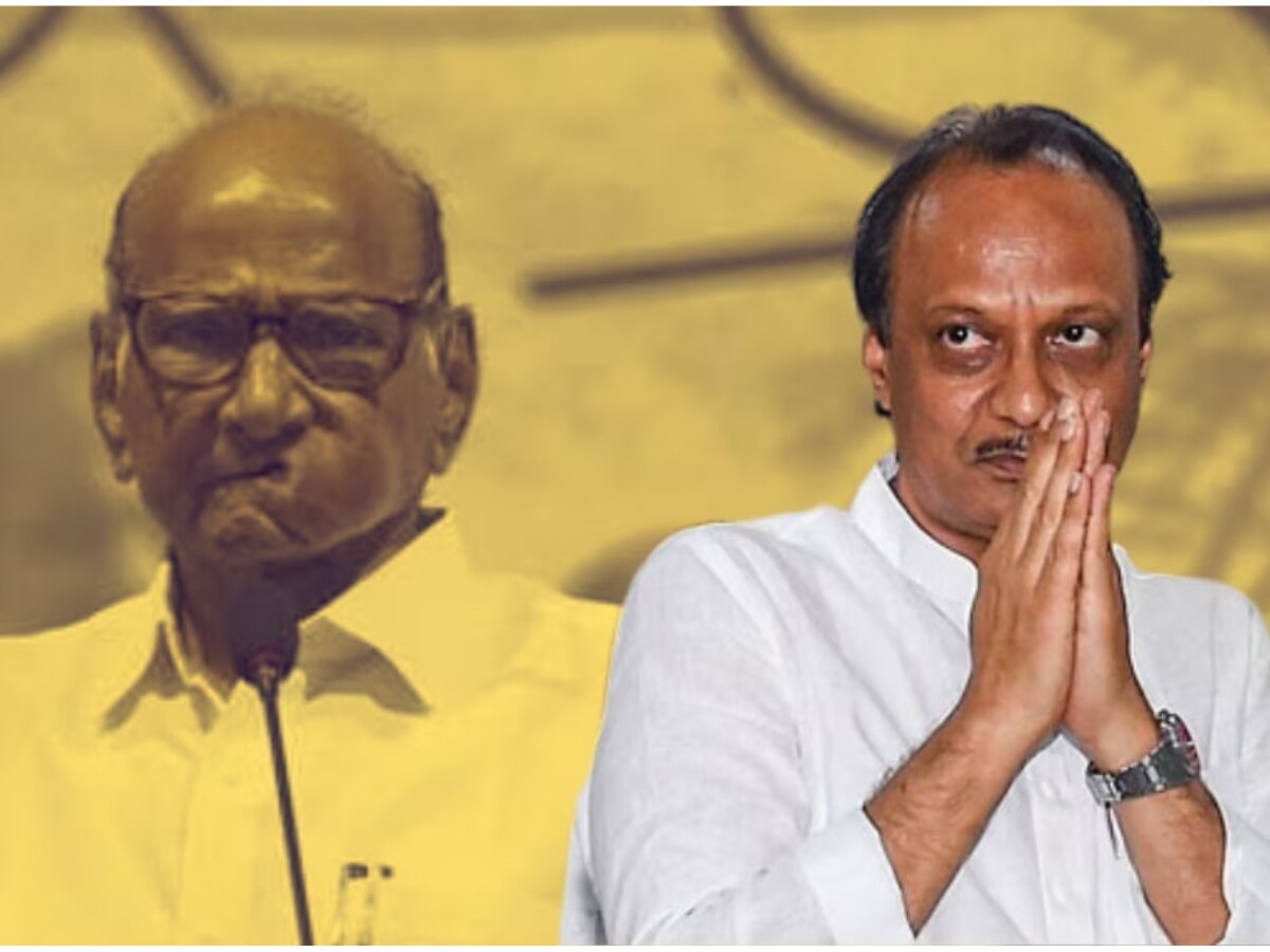 Sharad Pawar: अजित पवार नाराज? पुढचा पक्षाध्यक्ष कोण? शरद पवार स्पष्टच म्हणाले...
