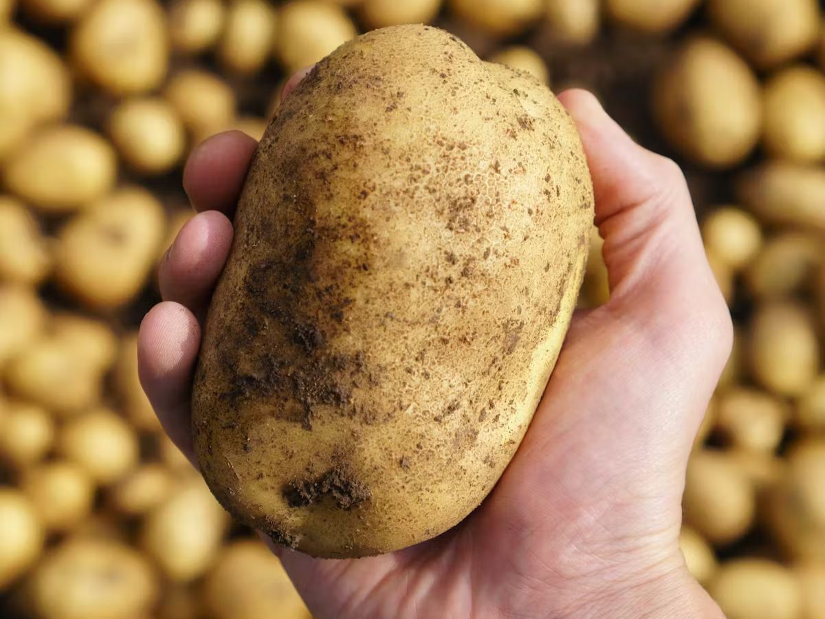 Surprising Things You Can Clean with a Potato