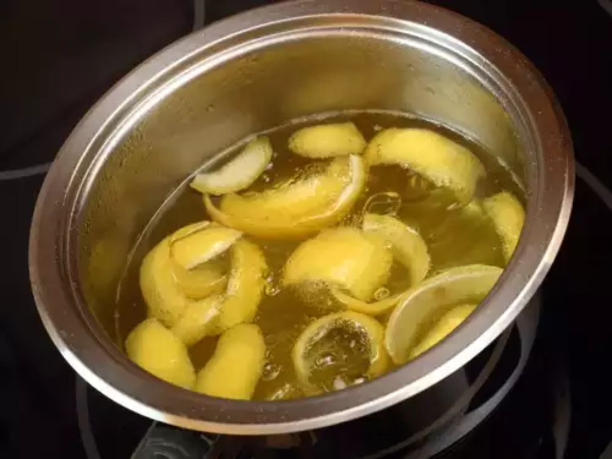 benefits of dry lemon in kitchen