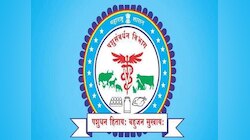 Govt Job: राज्याच्या पशुसंवर्धन विभागात बंपर भरती, 'येथे' पाठवा अर्ज
