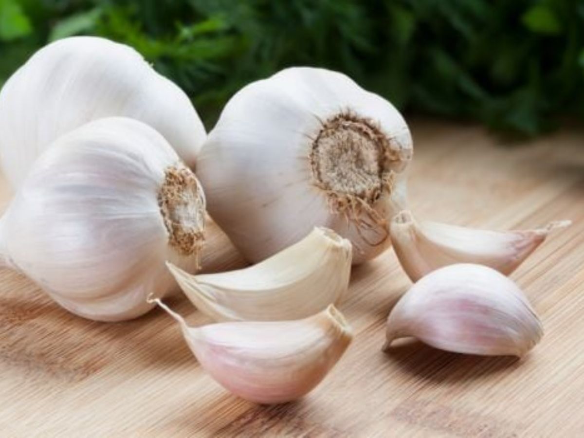 harmful effects of garlic that you should know