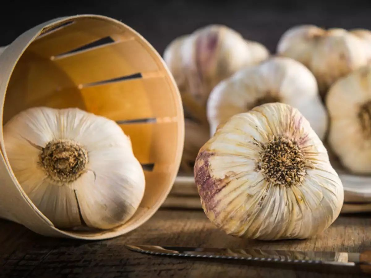 harmful effects of garlic that you should know