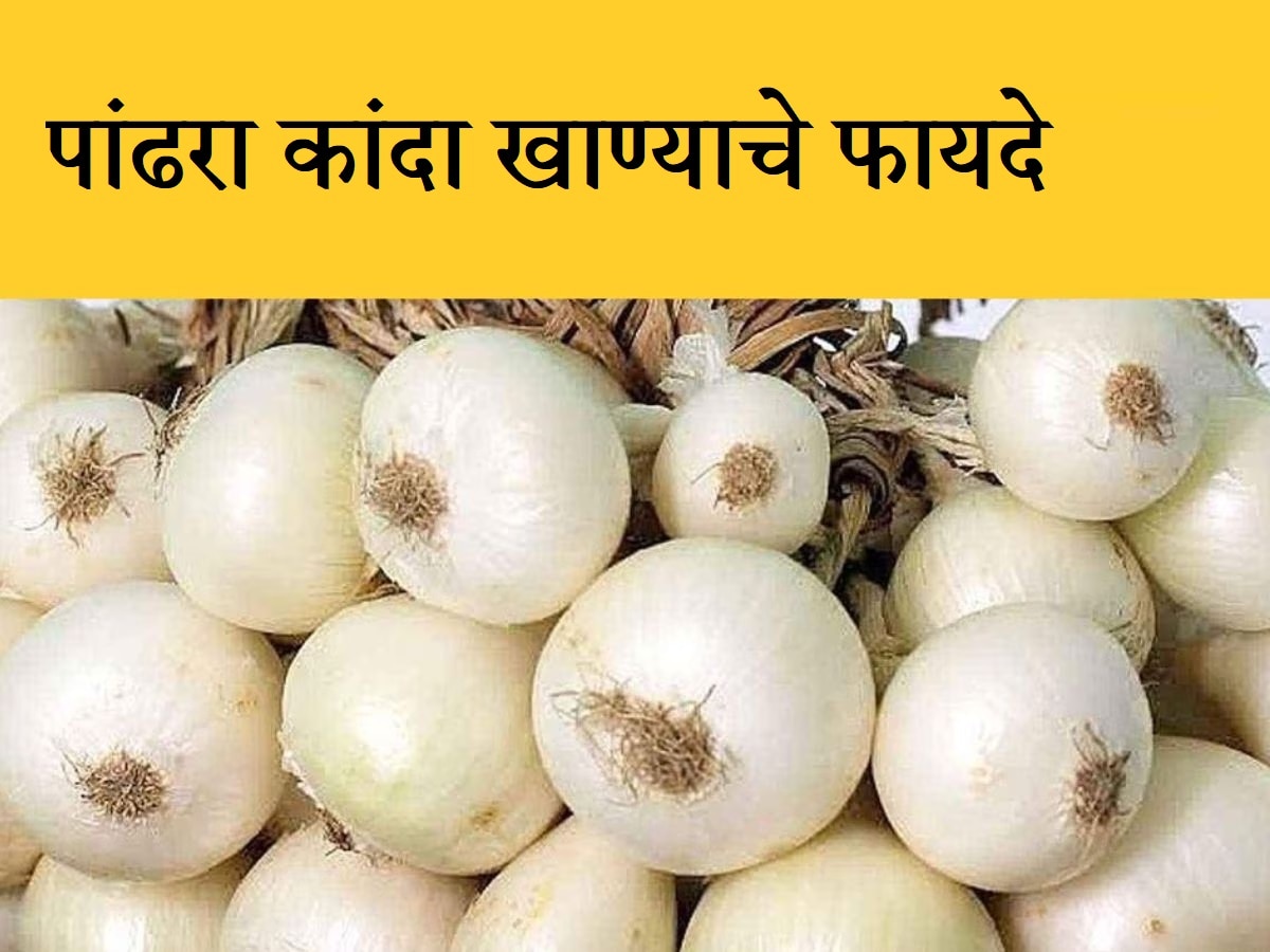 White Onion : तुम्ही कधी पांढरा कांदा खाल्ला आहे का? त्याचे एक नाही तर 'हे' अनेक फायदे  title=