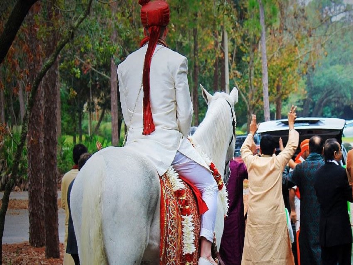 नवरदेव बुलेट आणि १ लाखांच्या हुंड्यावर अडून, भर मंडपात सासऱ्याने 'अशी' घडवली अद्दल title=