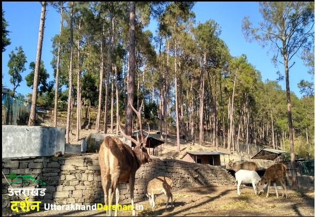 Uttarakhand travel tips