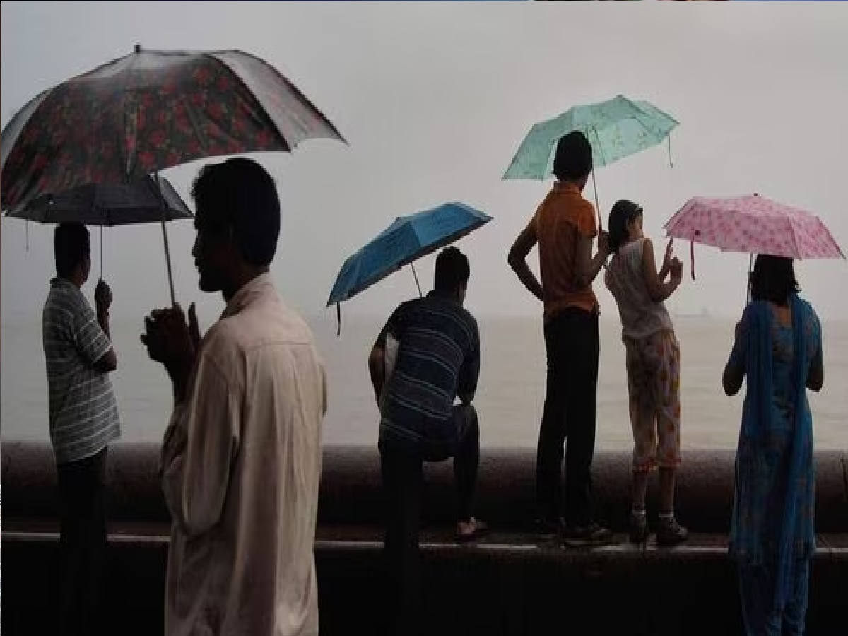 Monsoon : मुंबईसह राज्यभरात पावसाची हजेरी, पुढच्या 5 दिवसात राज्यात मान्सून सक्रिय होणार title=