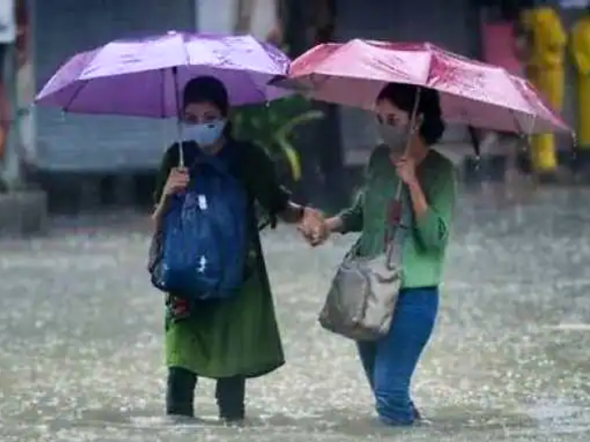 Maharastra Rain Alert: संपूर्ण महाराष्ट्रात मान्सूनची हजेरी, 'या' जिल्ह्यांना ऑरेंज अ‍ॅलर्ट जारी! title=