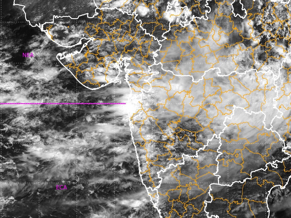 Maharashtra Monsoon News: पुढील 5 दिवस महत्त्वाचे; राज्यातील 'या' भागांना IMD कडून अलर्ट जारी! title=