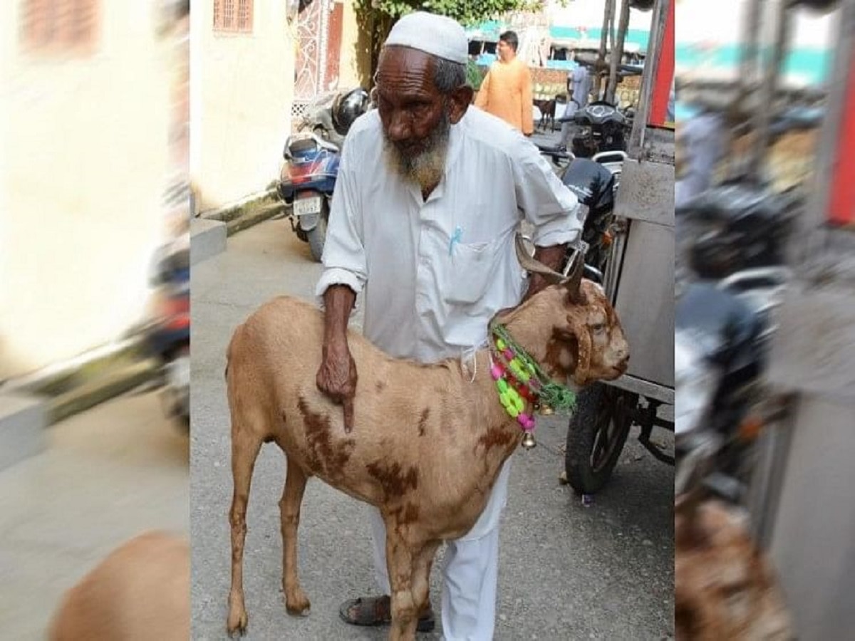 Bakri Eid Buck made the farmer a millionaire before the sacrifice