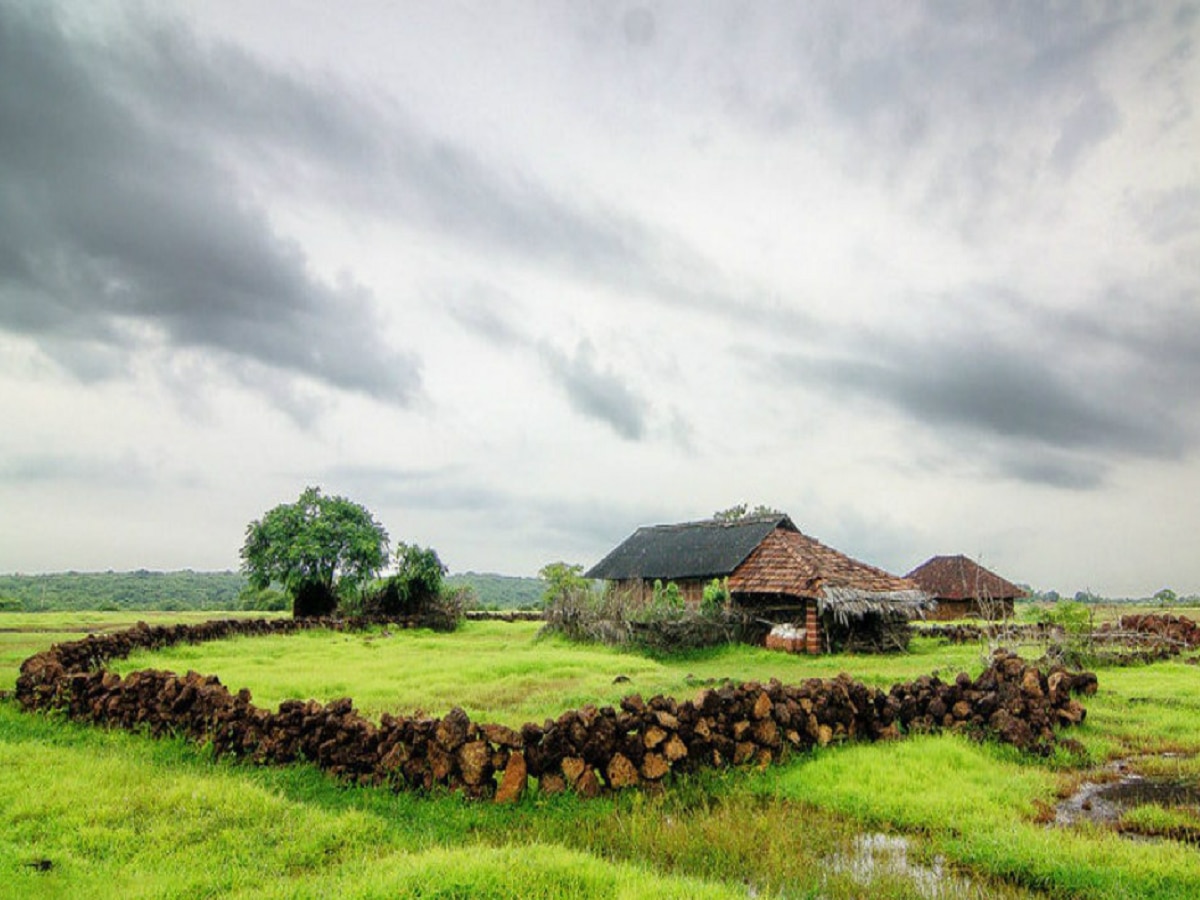 Maharashtra Monsoon: राज्यात पुढील 4 दिवस मुसळधार पाऊस; बळीराजा सुखावला  title=