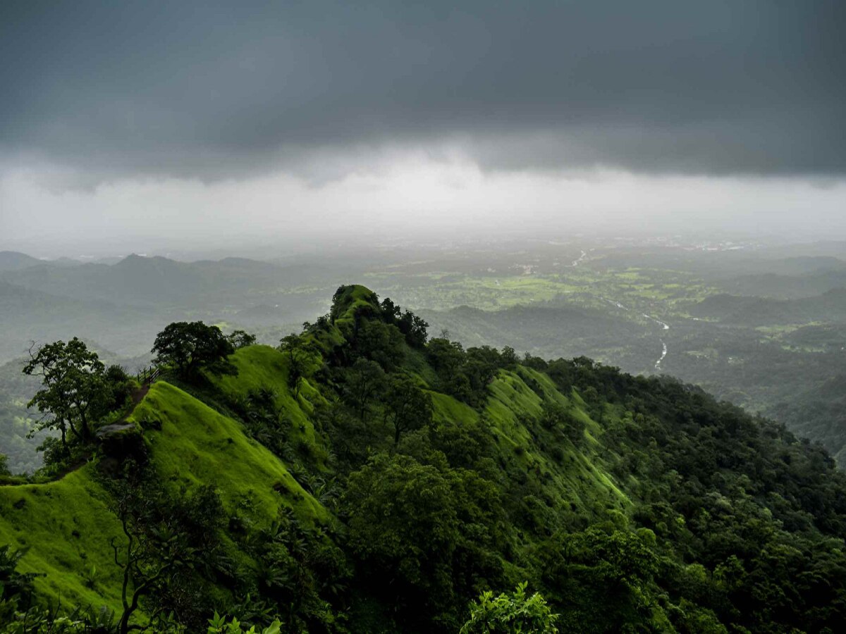 Monsoon Updates : आठवड्याचा शेवटही पावसानं; पुढील 5 दिवस राज्यात मुसळधार  title=