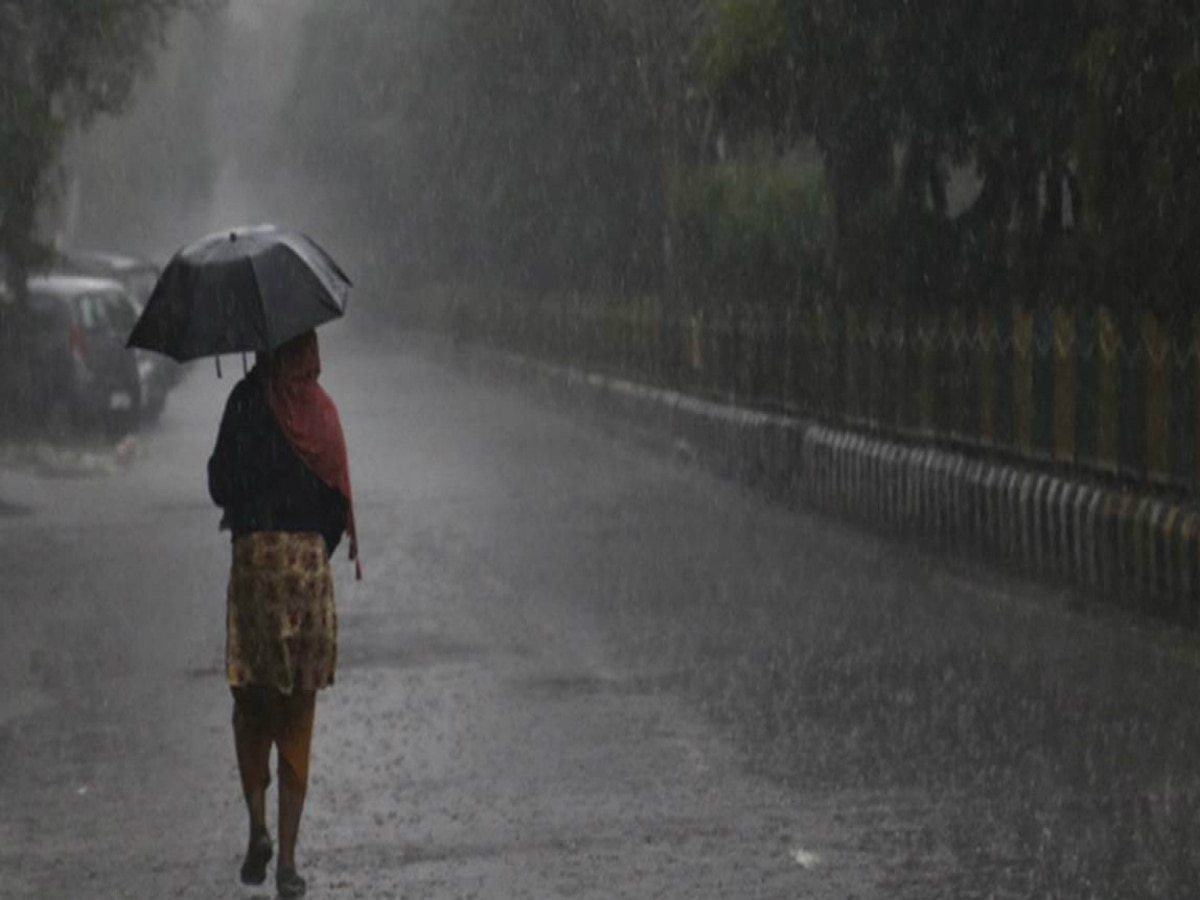 Maharashtra Rain Updates : मुंबई, कोकणासह राज्याच्या कोणत्या भागांत मुसळधार? पाहा हवामान वृत्त  title=