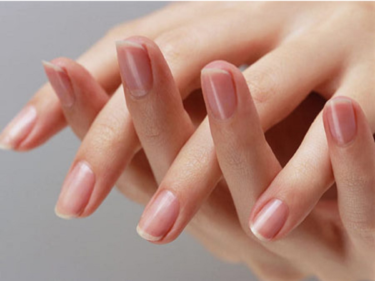 Personality Test : तुमच्या नखांच्या आकार आताच पाहूनच घ्या, नकळत स्वभावाचे  गुपित इतरांना कळेल | your nails say everything about you meaning nail shape  personality test in marathi