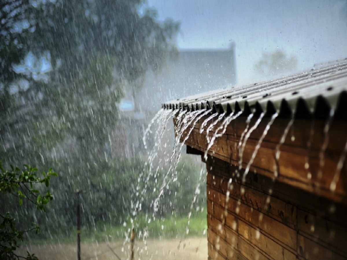 Maharashtra Rain News : पुढील 48 तासात मुसळधार ते अतिमुसळधार पावसाची शक्यता; IMD कडून 'यलो अलर्ट' title=