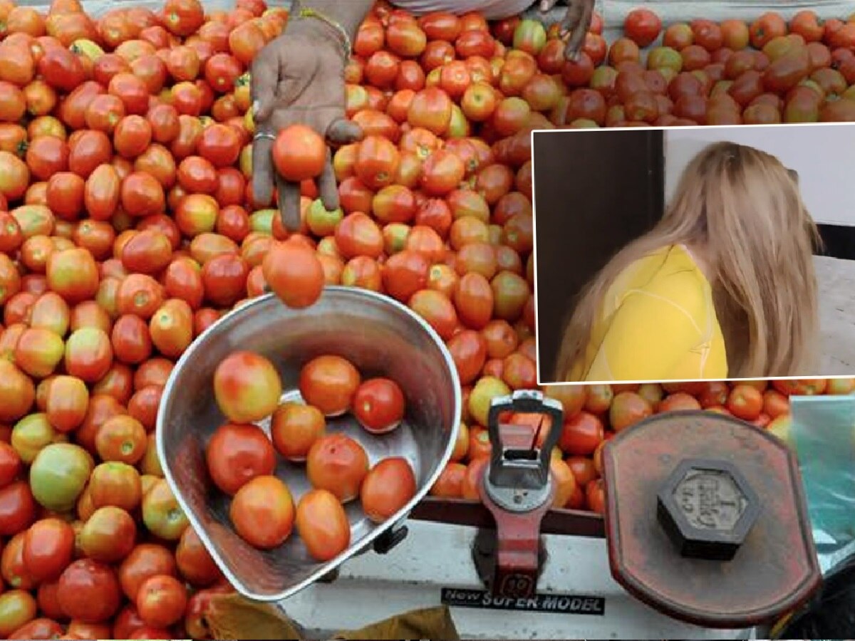 श्रीलंकेतून परतल्यावर Tomato Rates ऐकून अभिनेत्री भिंतीवर डोकं आपटत म्हणाली, "आता असं वाटतंय की..." title=