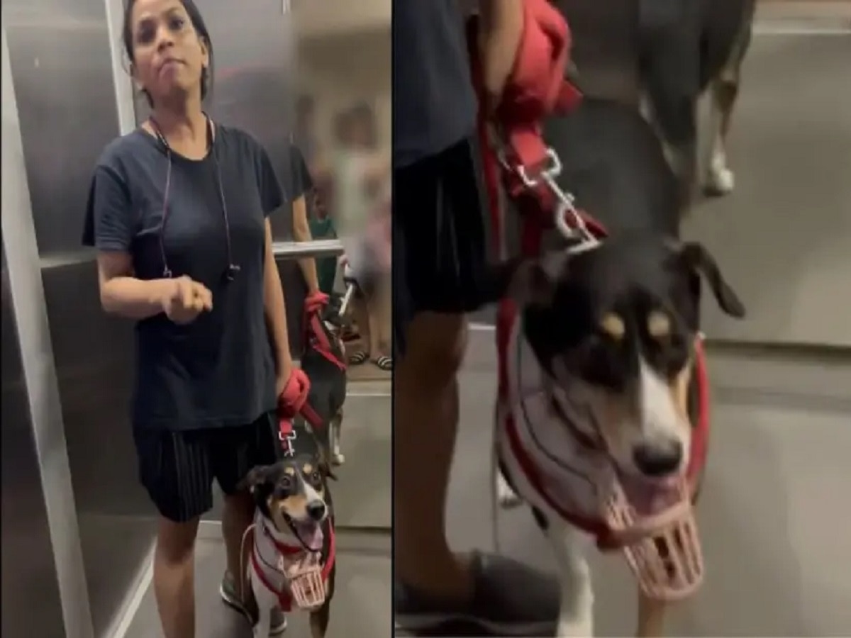 कुत्र्याला मास्क घालण्यास सांगितल्याने राग अनावर, गर्भवती महिलेसोबत लिफ्टमध्ये... title=