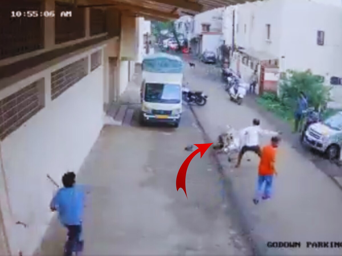 Kolhapur News: भर रस्त्यात गाढवाचा वृद्धावर हल्ला, शेवटी लोकांनी असा शिकवला धडा; पाहा CCTV Video title=