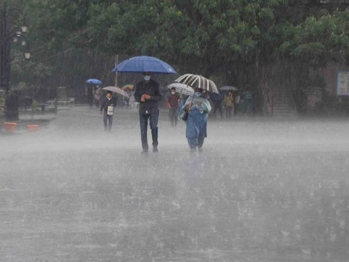 Maharashtra Rain Updates : विदर्भात 'यलो अलर्ट' तर कोकण- मुंबईत मुसळधार, पाहा पावसाची बातमी  title=