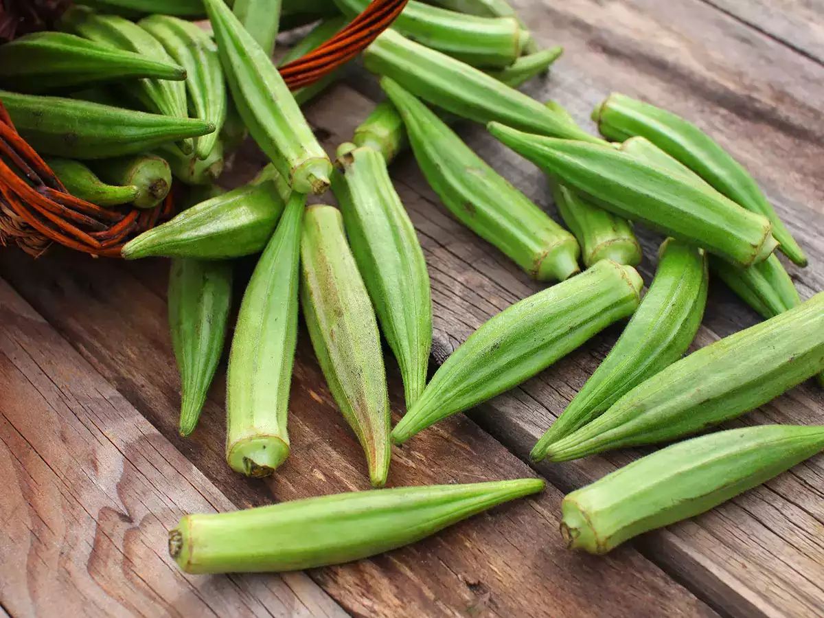 Excessive Eating Bhindi Increases Risk Of Gallbladder Stones