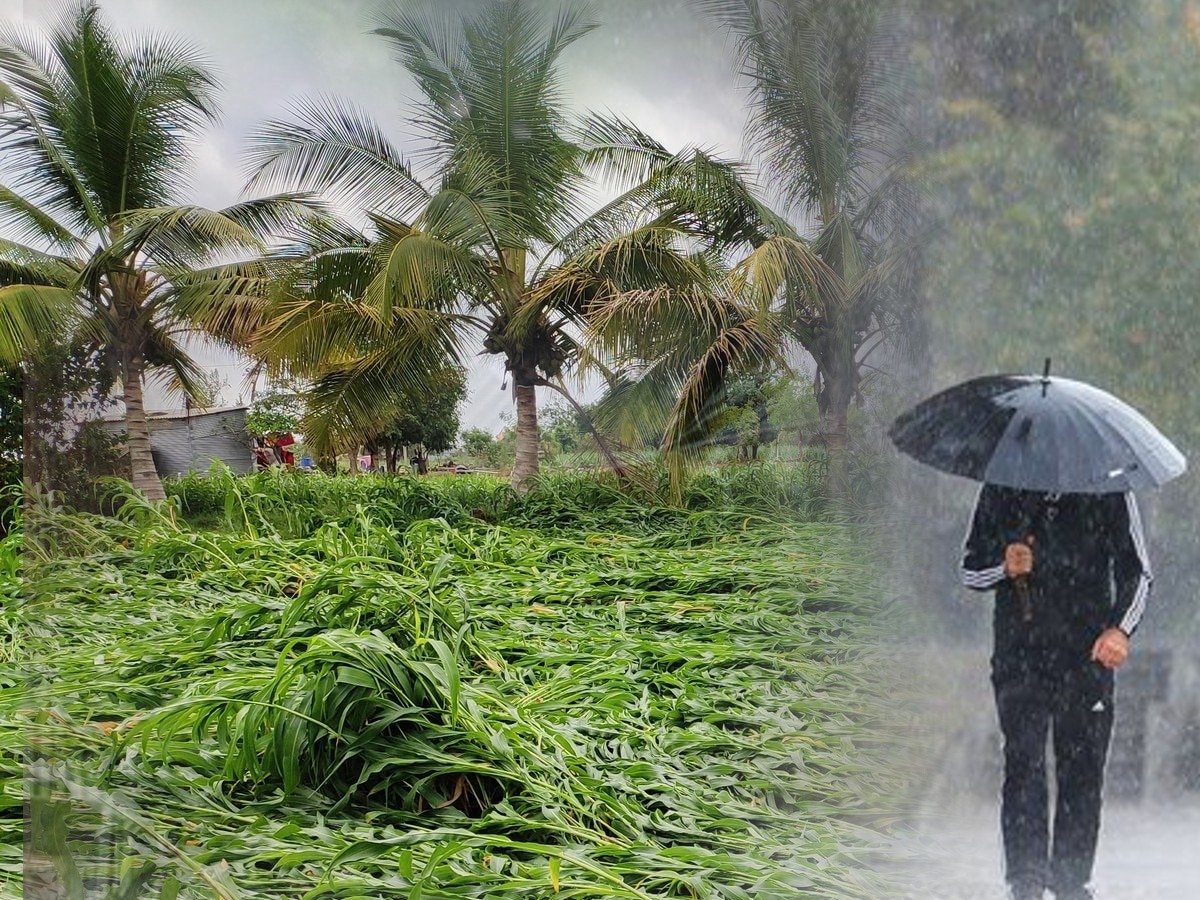 Maharastra Monsoon Updates: शेतकऱ्यांचं टेन्शन वाढलं! पुढील 4 दिवसात राज्याच्या 'या' भागात मुसळधार पावसाची शक्यता title=