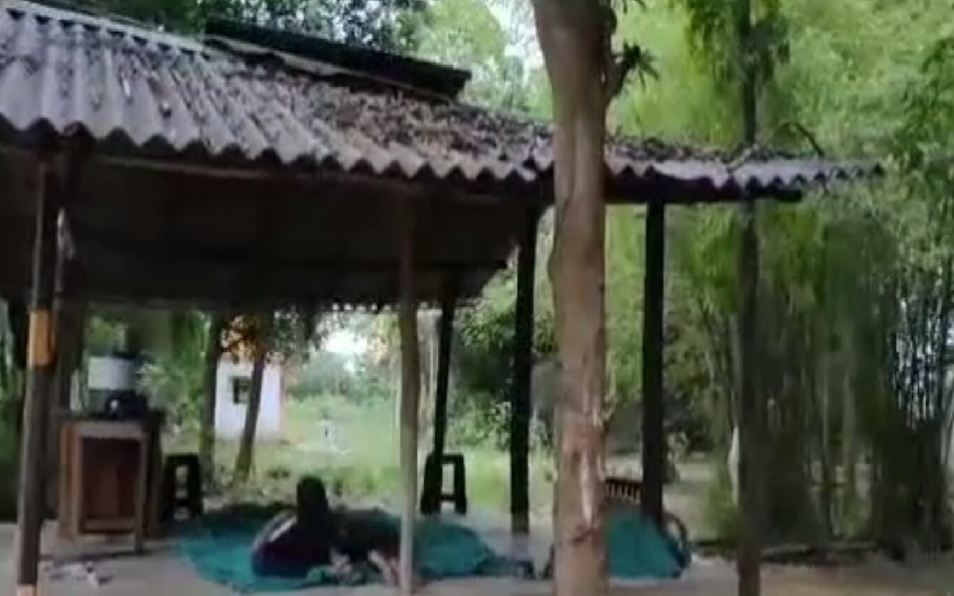 रोपवाटिकेत कर्मचारी झिंगले, दारु पिऊन झोपले; दोघांवर निलंबनाची कारवाई रोपवाटिकेत कर्मचारी झिंगले, दारु पिऊन झोपले; दोघांवर निलंबनाची कारवाई