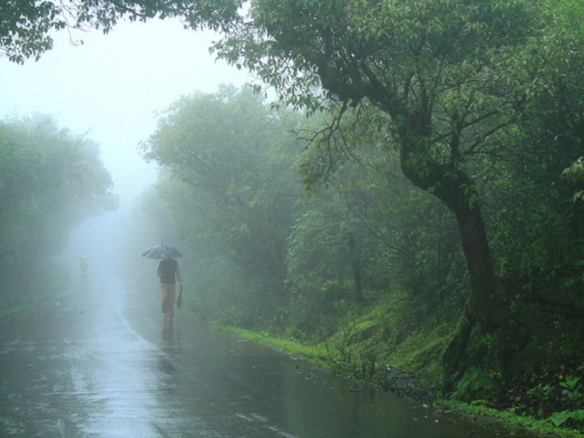 Maharashtra Rain : पुढील 5 दिवस मुसळधार; पावसाळी सहलींना जाणाऱ्यांची मज्जाच मजा!  title=