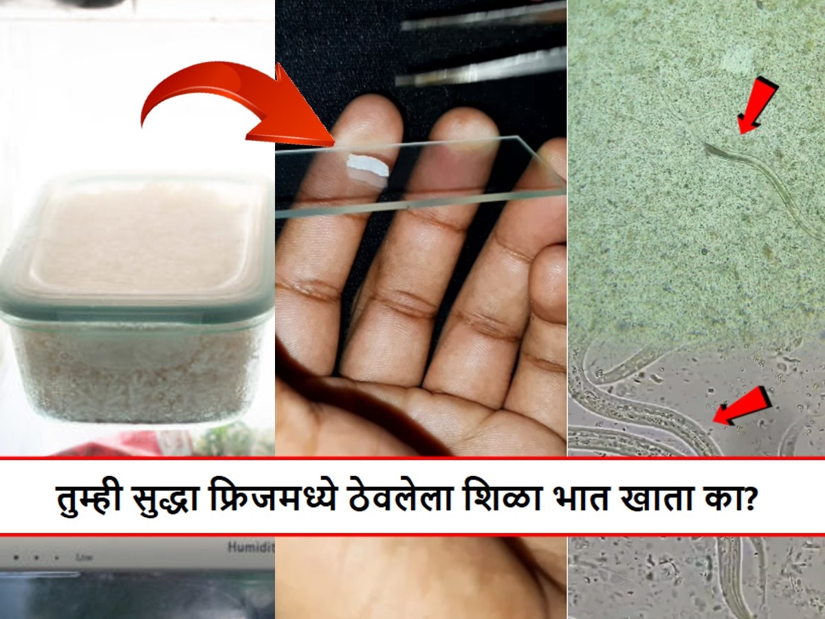 तुम्ही सुद्धा शिळा भात खाता का? उत्तर 'हो' असेल तर हा Video पाहून ...