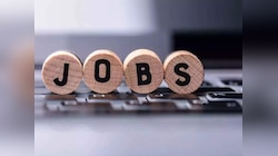 Government Job: महाराष्ट्र नगरपरिषद संचालनालयाअंतर्गत मेगाभरती, नोकरीसाठी 'येथे' पाठवा अर्ज 