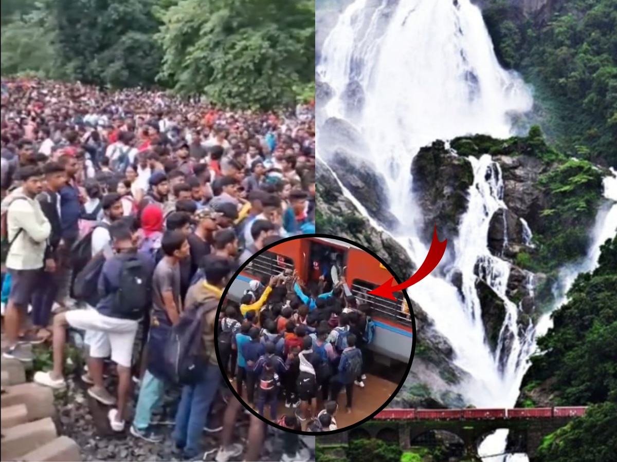 Dudhsagar Waterfalls: विकेंडला दूधसागर धबधब्याला जाताय? आधी 'हा' Video पाहाच! title=
