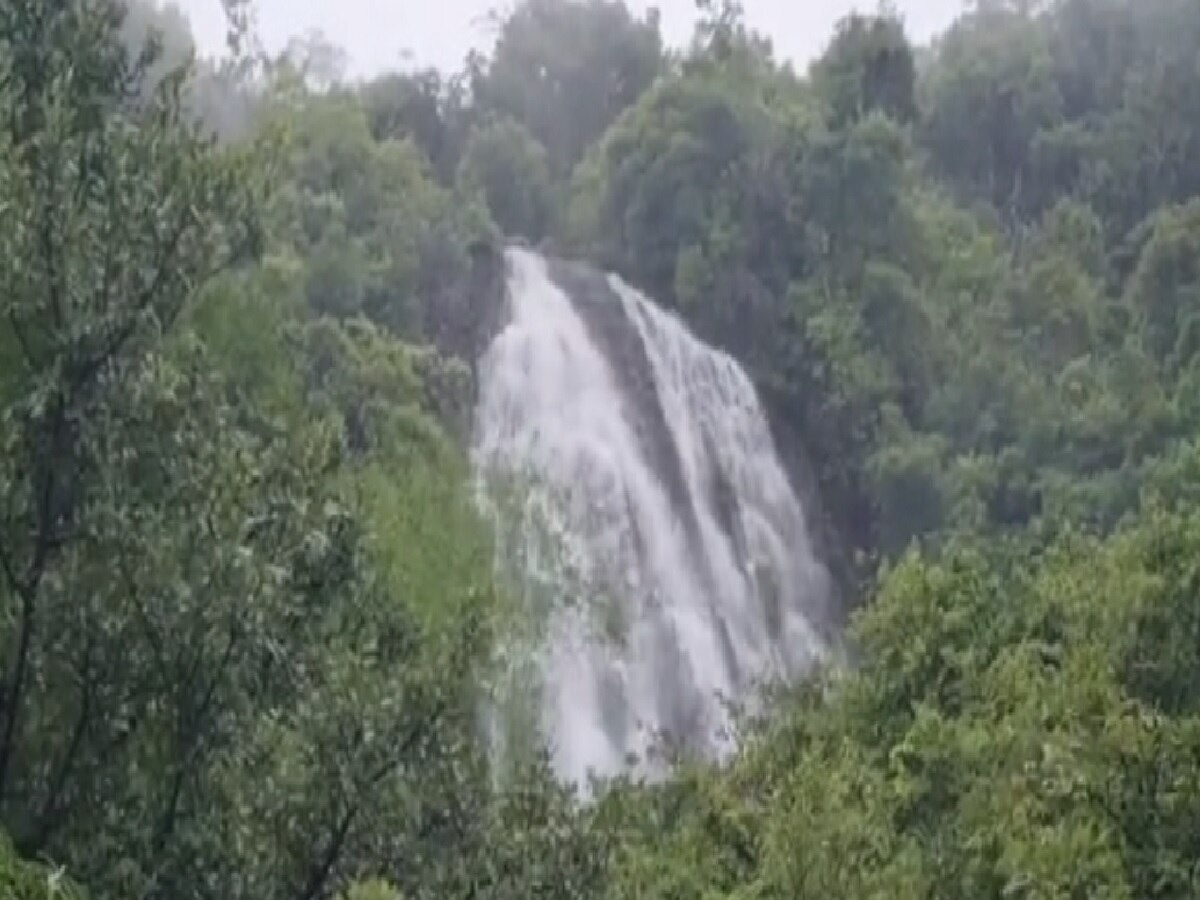 धबधबा पाहण्याचा मोह जीवावर बेतला; 700 फूट दरीत दोन तरुणांचा मृत्यू title=