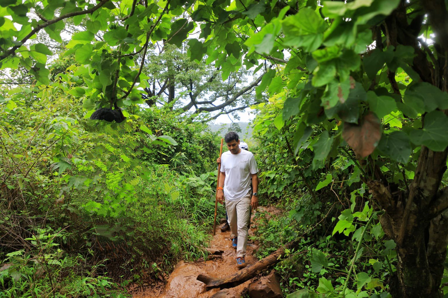 CM Eknath Shinde Son MP Dr Shrikant Shinde Worked In Farm Photos Go viral