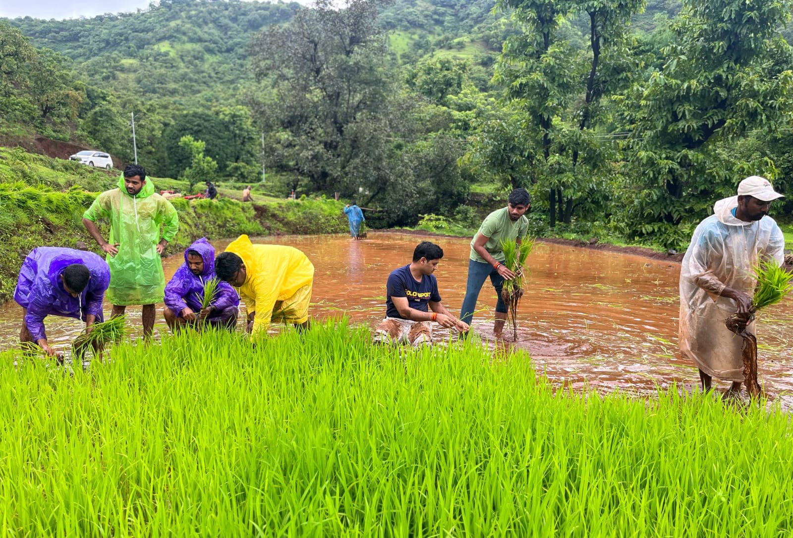 CM Eknath Shinde Son MP Dr Shrikant Shinde Worked In Farm Photos Go viral