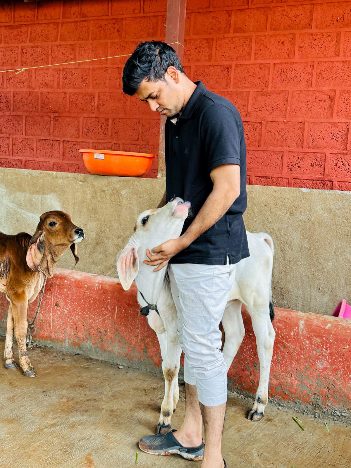 CM Eknath Shinde Son MP Dr Shrikant Shinde Worked In Farm Photos Go viral