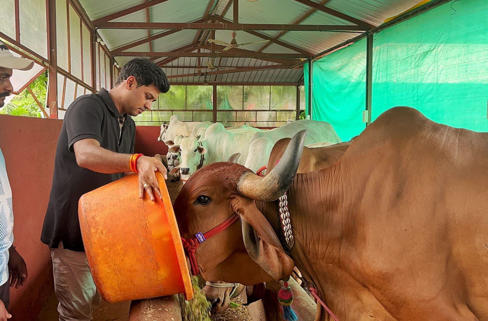 CM Eknath Shinde Son MP Dr Shrikant Shinde Worked In Farm Photos Go viral