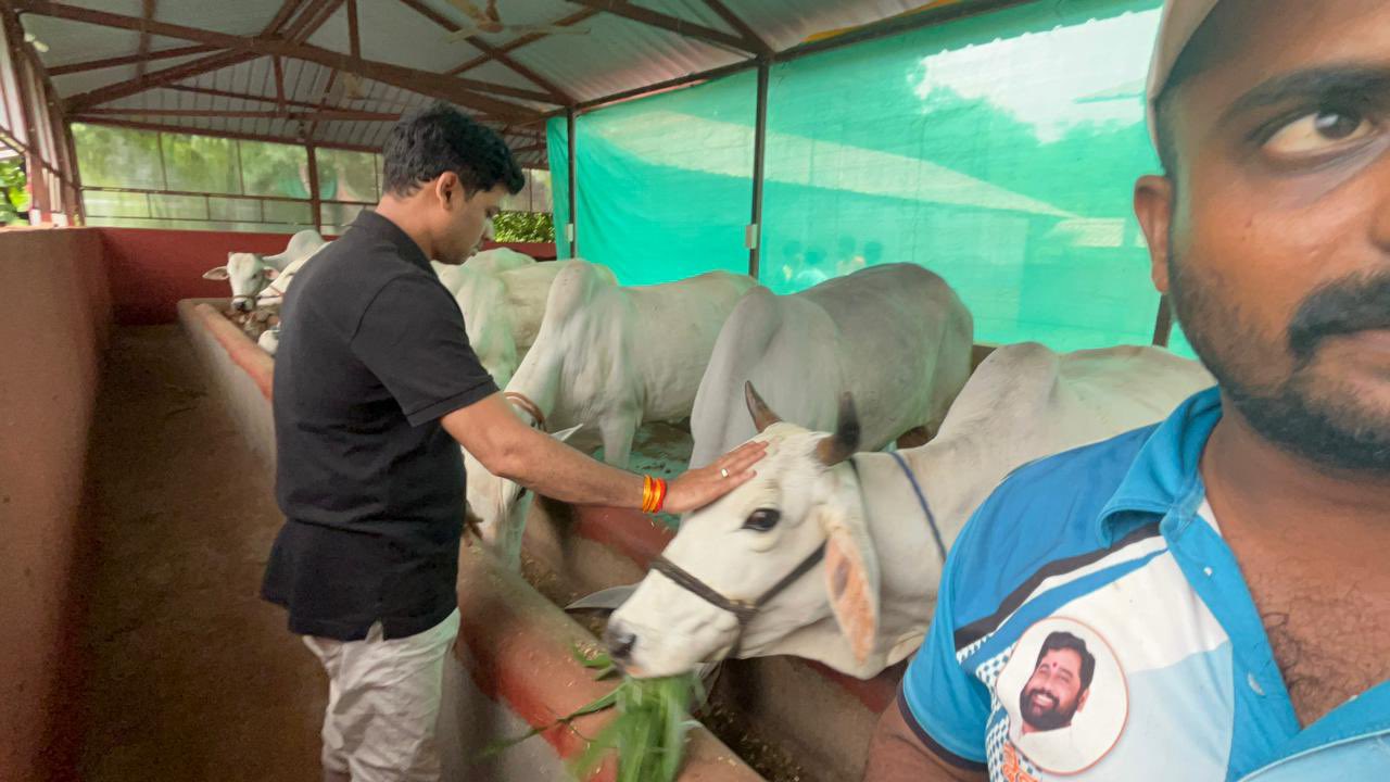 CM Eknath Shinde Son MP Dr Shrikant Shinde Worked In Farm Photos Go viral