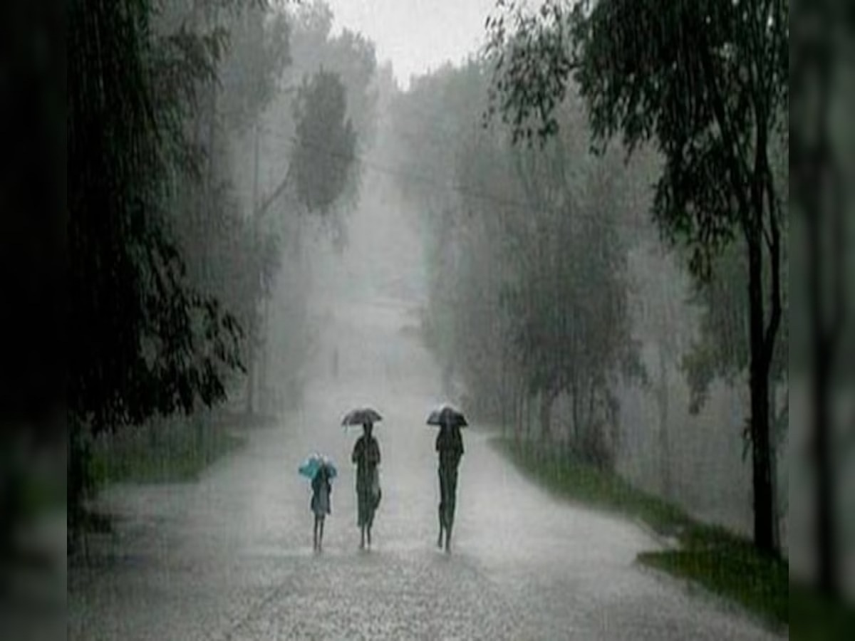 Maharashtra Rain : आजही कोसळधार! रायगड, घाटमाथ्यावर रेड अलर्ट; मुंबई, ठाणे, कोकणात शाळांना सुट्टी title=