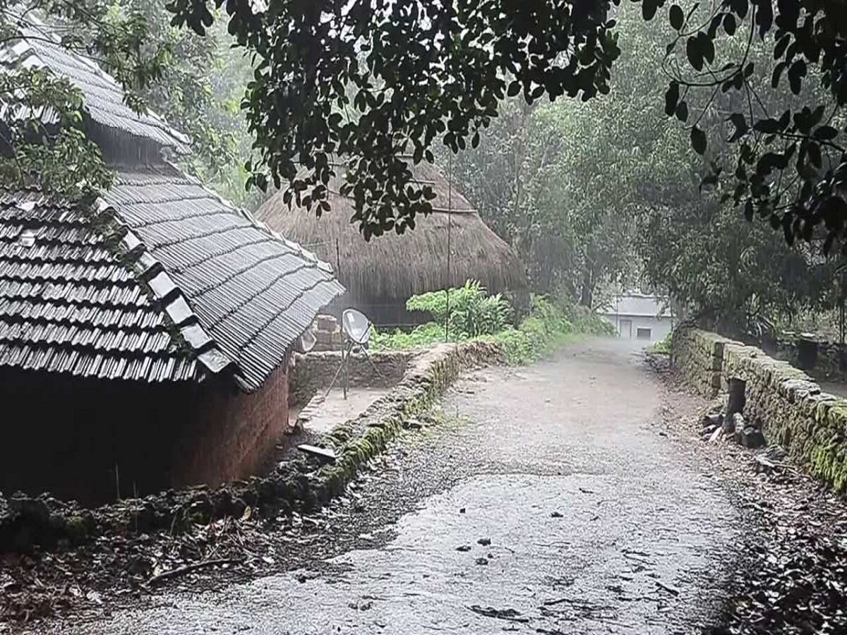 Maharashtara Rain : पालघर, पुणे, रायगडला रेड अलर्ट; मुंबईलाही पाऊस धू धू धुणार  title=