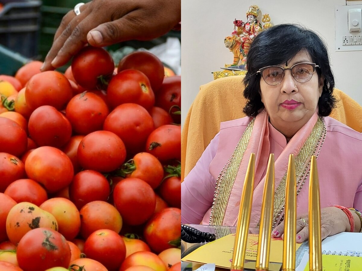 "टोमॅटो खाणं बंद करा, त्याऐवजी लिंबू वापरा; किंमती कमी होतील"; भाजपा मंत्र्याचा अजब सल्ला title=