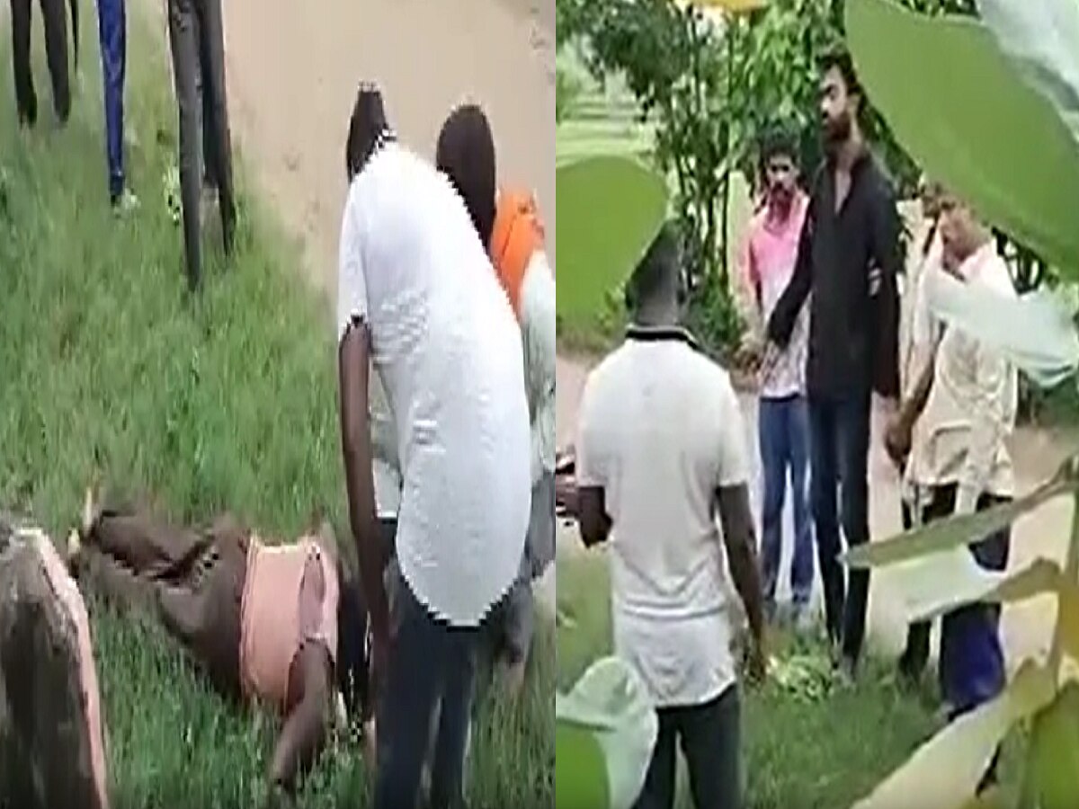 अंगात साप येतो, जमिनीवर सरपटतो! नागपूरात सर्पदंशावर अघोरी उपाय करणाऱ्या भोंदुबाबाचा पर्दाफाश