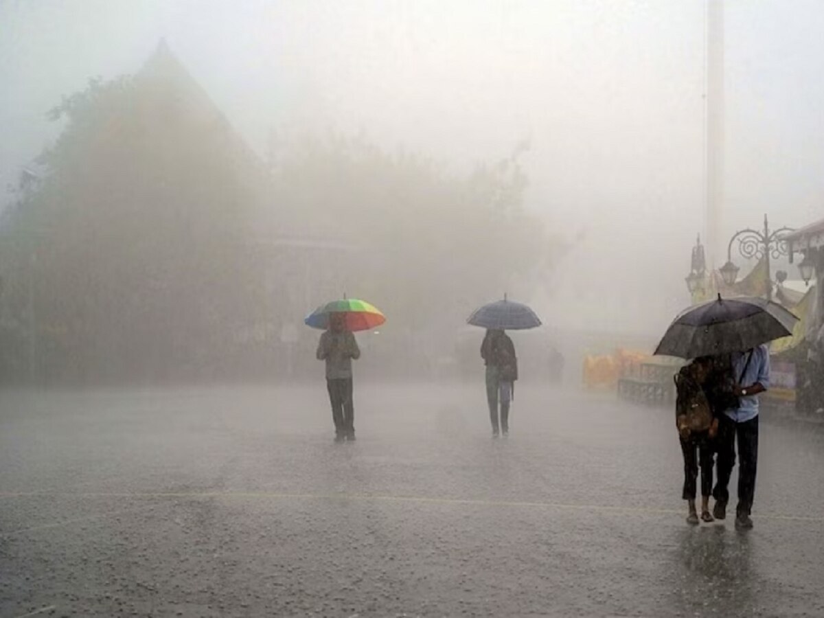 Maharashtra Rain : पश्चिम महाराष्ट्राला रेड अलर्ट; पाहा तुमच्या भागातील पर्जन्यमानाचा अंदाज