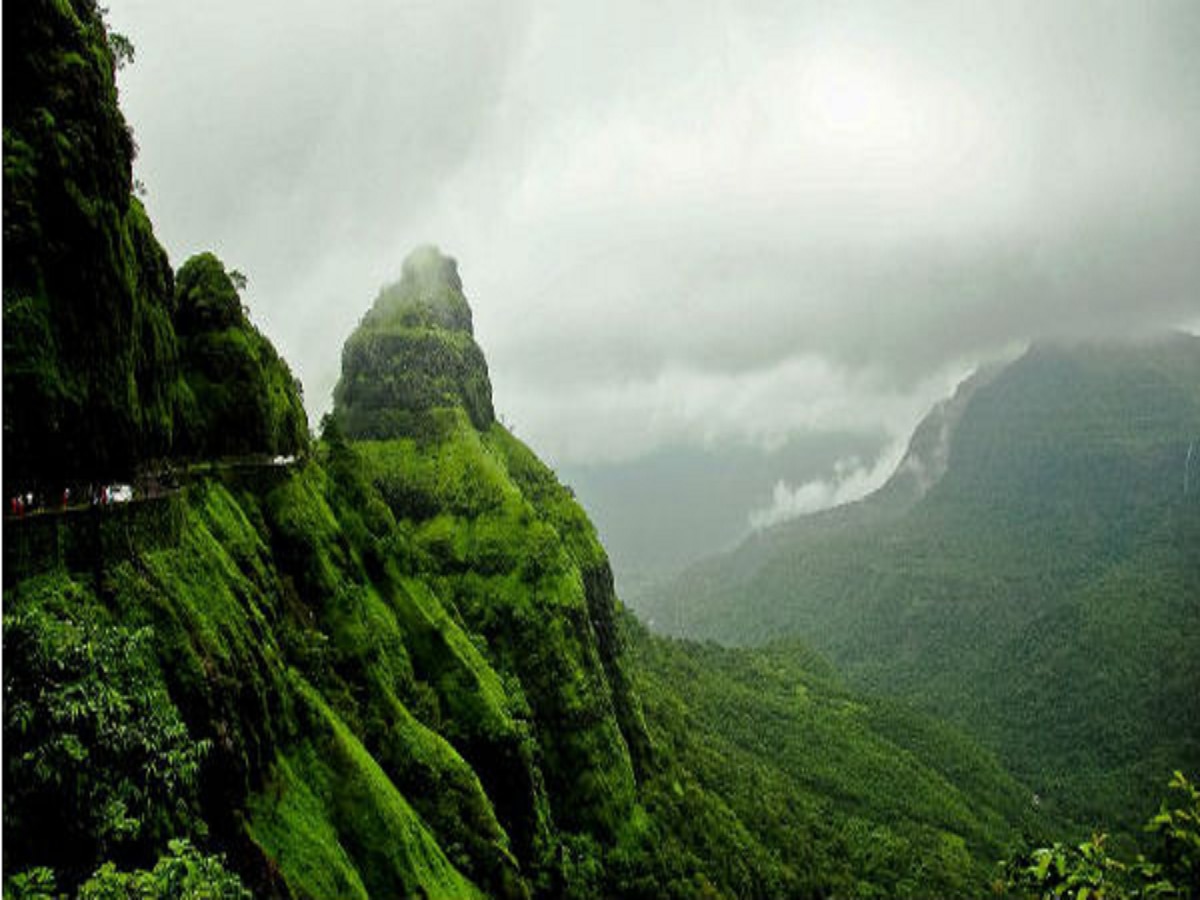 Maharashtra Rain Live Updates : कोल्हापूरातील राधानगरी धरणाचे 5 दरवाजे उघडले