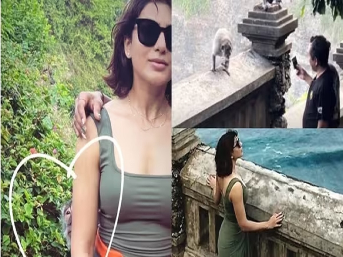 बालीत फिरत असलेल्या Samantha Ruth Prabhu सोबत माकड चेष्टा, झालं असं की... title=