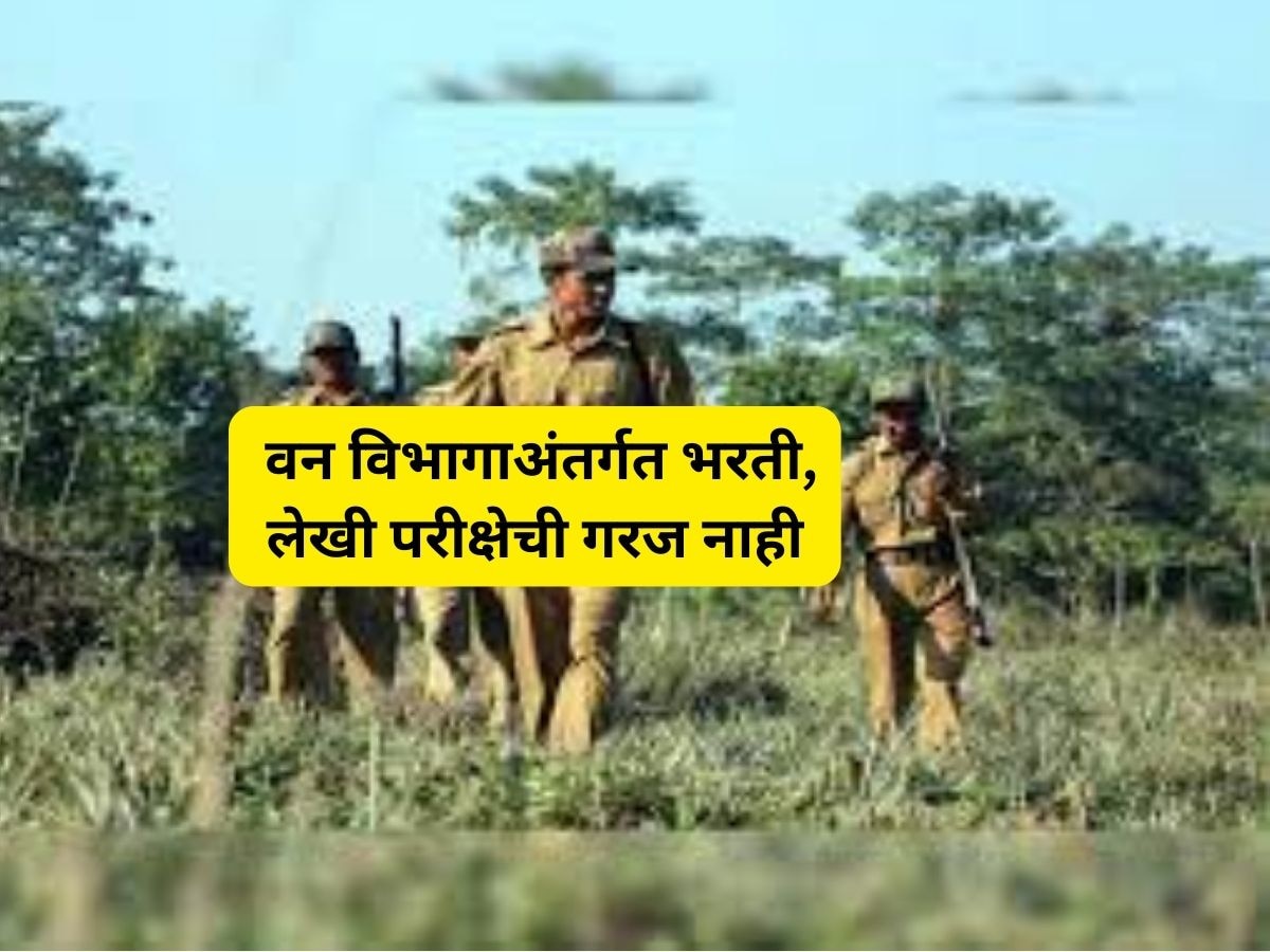 महाराष्ट्र वन विभागाअंतर्गत विविध पदांची भरती, कोणतीही परीक्षा नाही; पगारही मिळेल चांगला title=