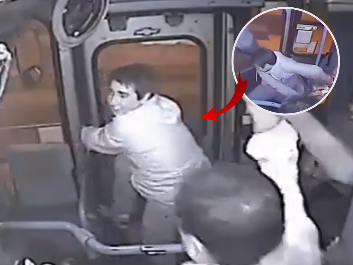 Viral Video: महिलेची पर्स चोरण्याच्या नादात झाली फजिती, ड्राईव्हरने केला गेम; चोराचा रडकुंडी चेहरा बघून पोटधरून हसाल! title=