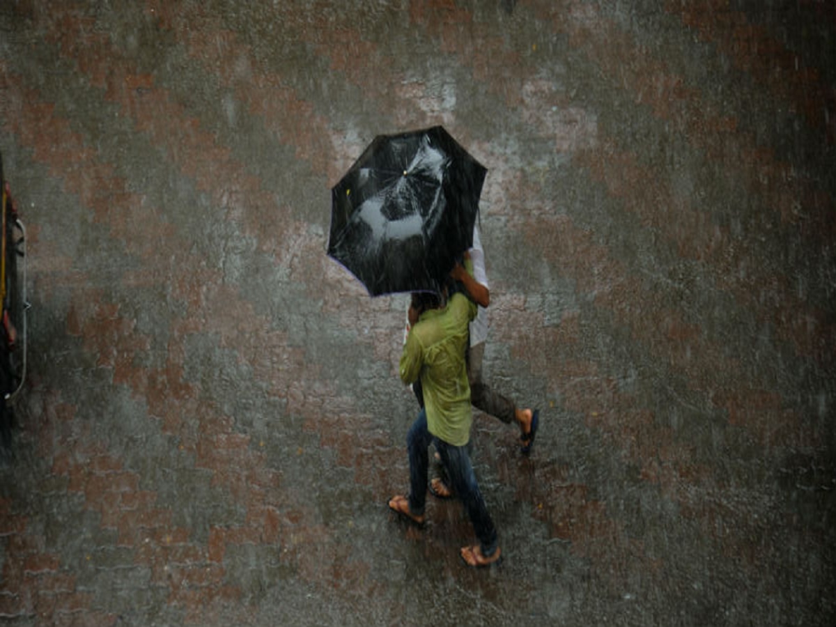 Maharashtra Rain : विदर्भ, पश्चिम महाराष्ट्राला 'यलो अलर्ट'; आताच पाहून घ्या हवामानाचा अंदाज  title=